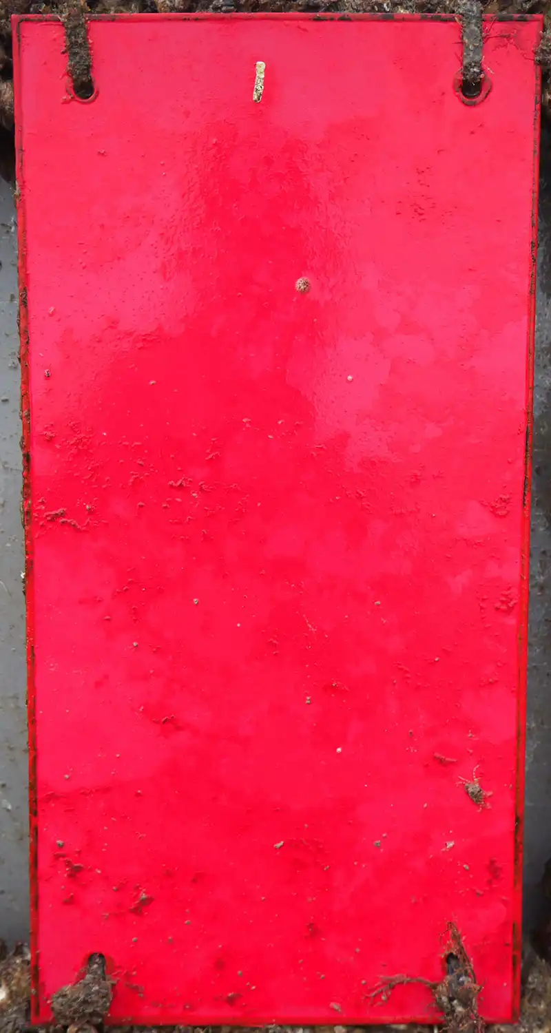 SEAJET 038 Taisho panel result