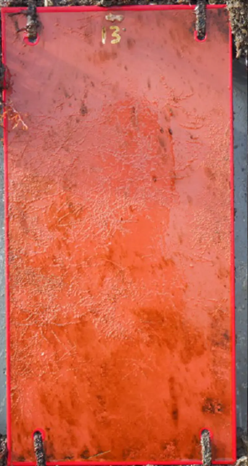 SEAJET 041 Poseidon panel result
