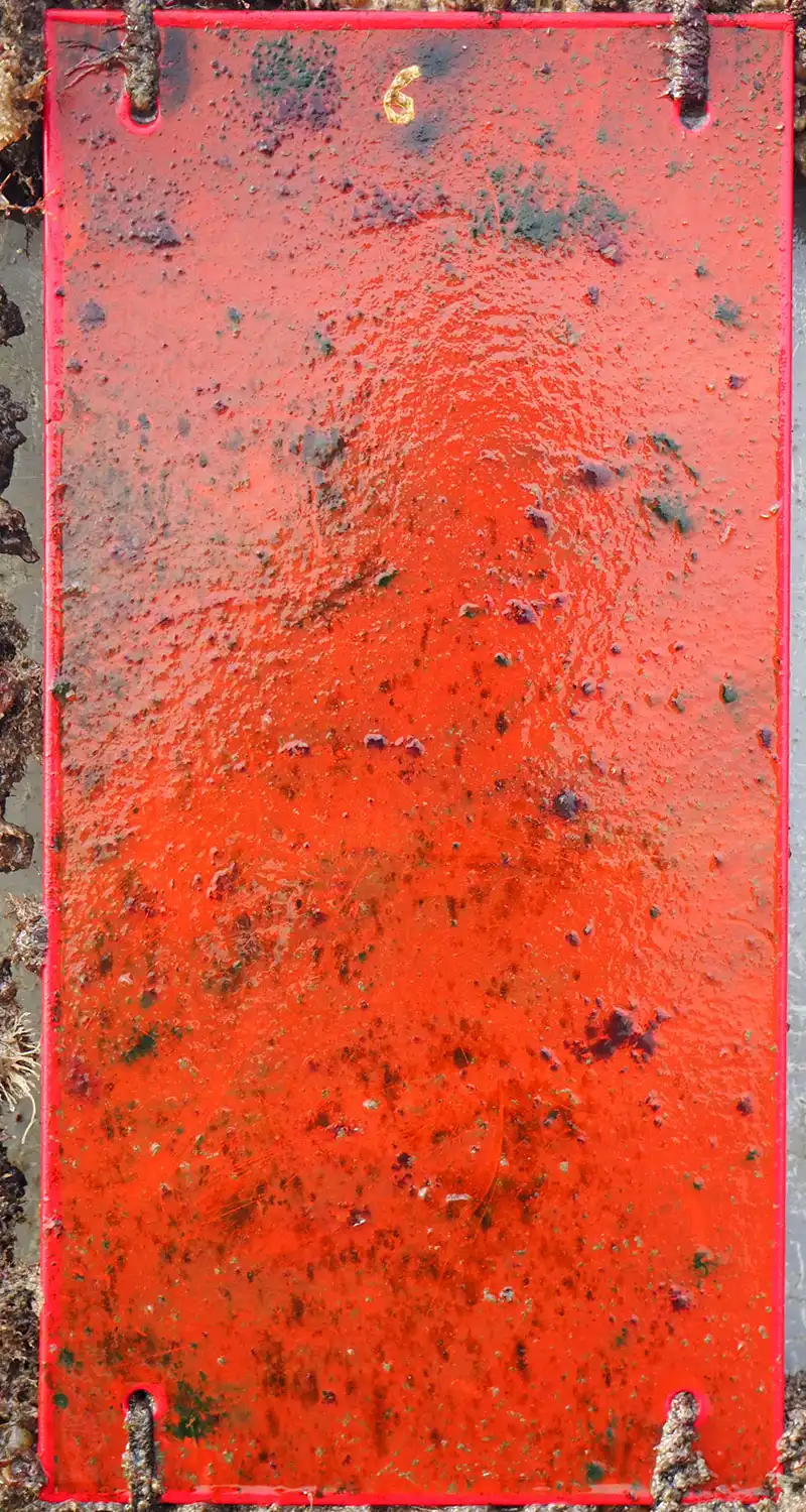 High end Copper panel result