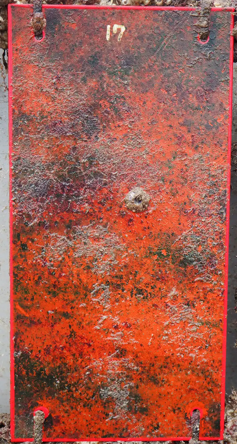 High end Copper panel result 3